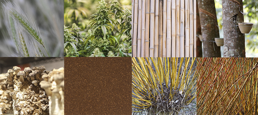 Wiki: Types of rapidly renewable materials for construction — Raddle